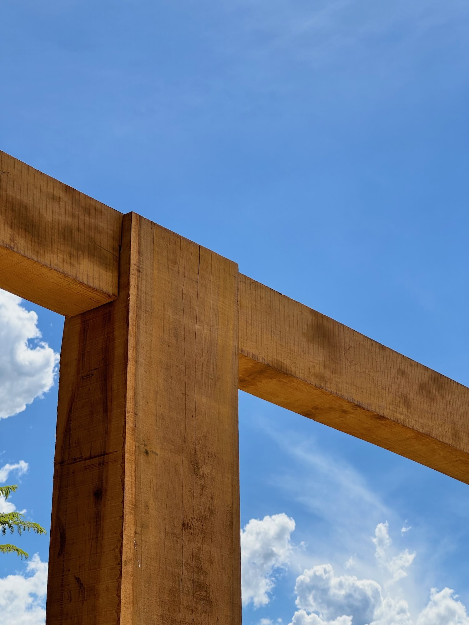 Columna y viga