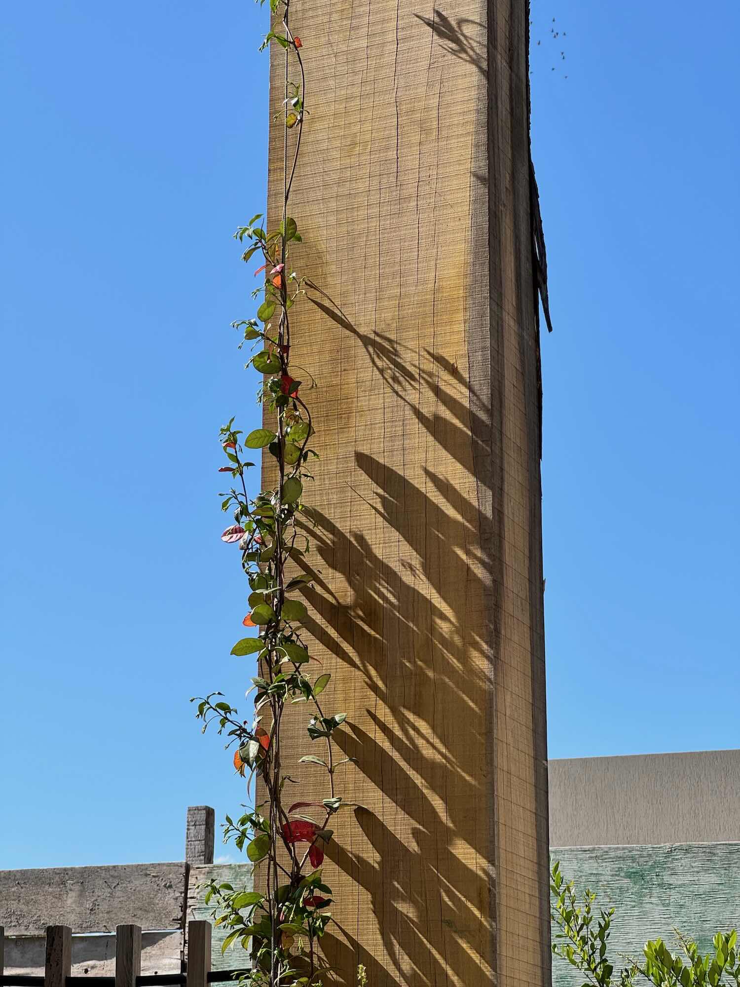 columna