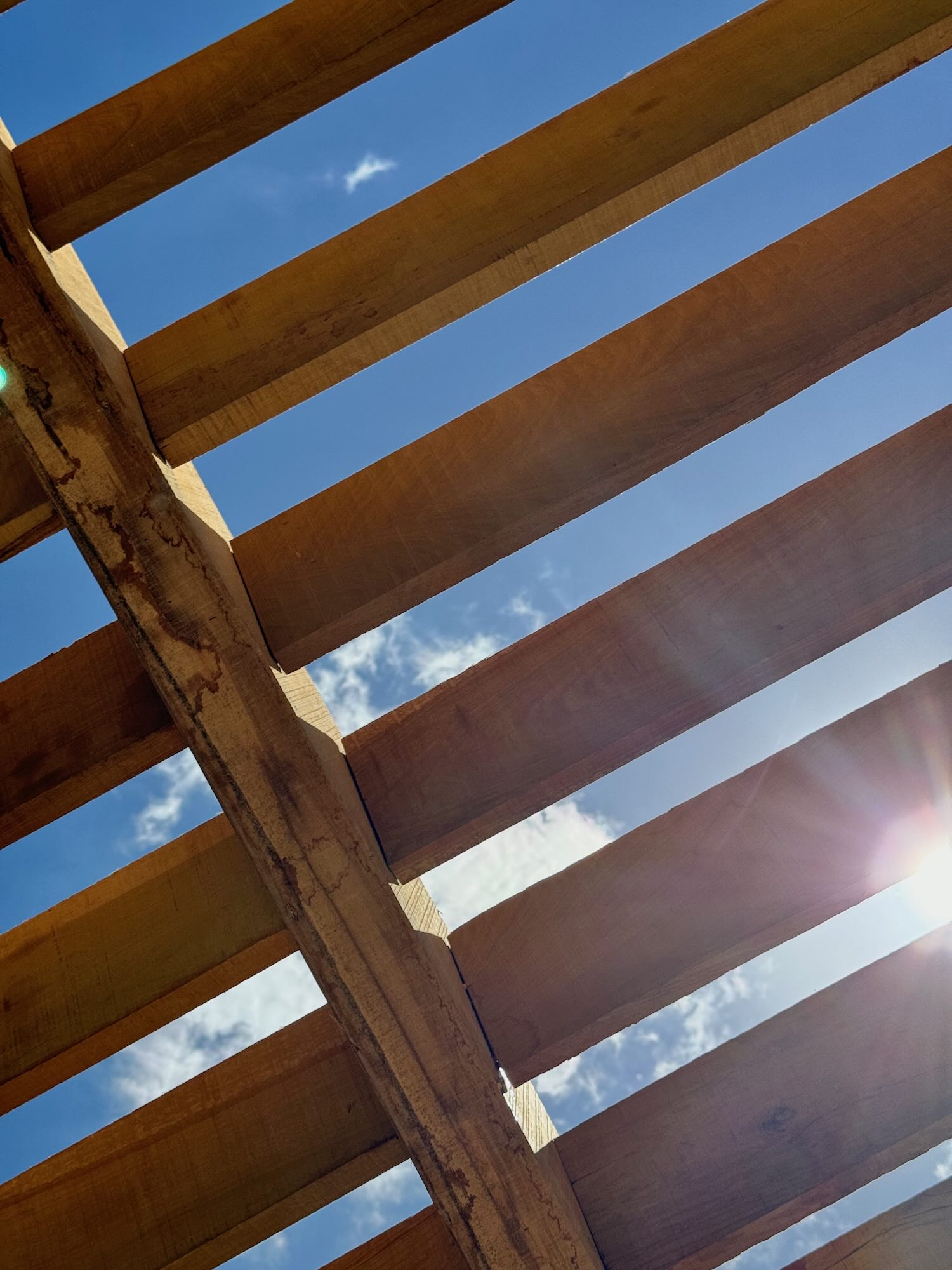 detalle cielorraso pergola