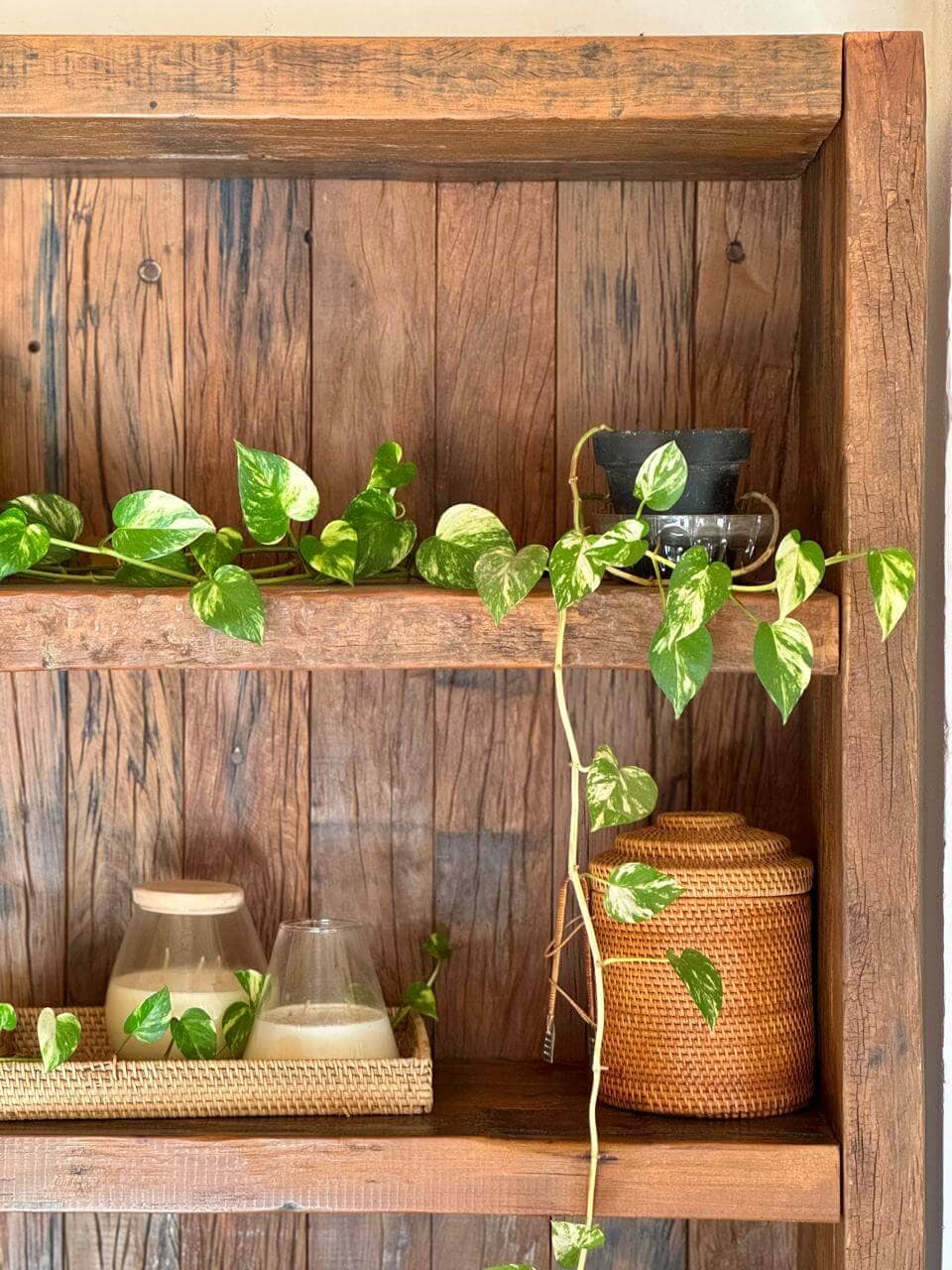 La Marcelo en Lapacho 2